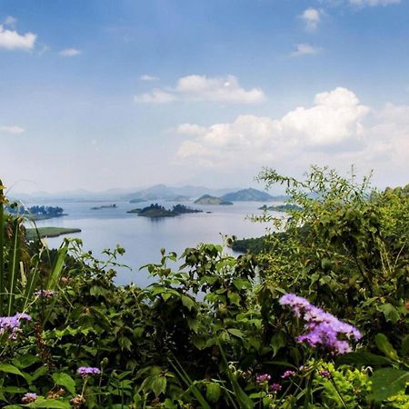Chameleon Hill Forest Lodge Bwindi Impenetrable Park 外观 照片