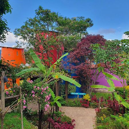 Chameleon Hill Forest Lodge Bwindi Impenetrable Park 外观 照片