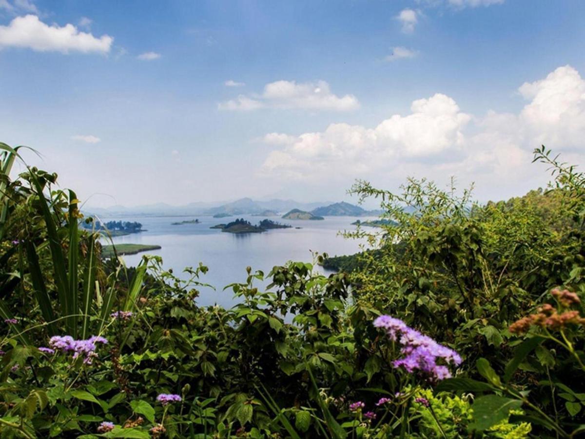 Chameleon Hill Forest Lodge Bwindi Impenetrable Park 外观 照片