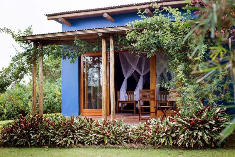 Chameleon Hill Forest Lodge Bwindi Impenetrable Park 外观 照片