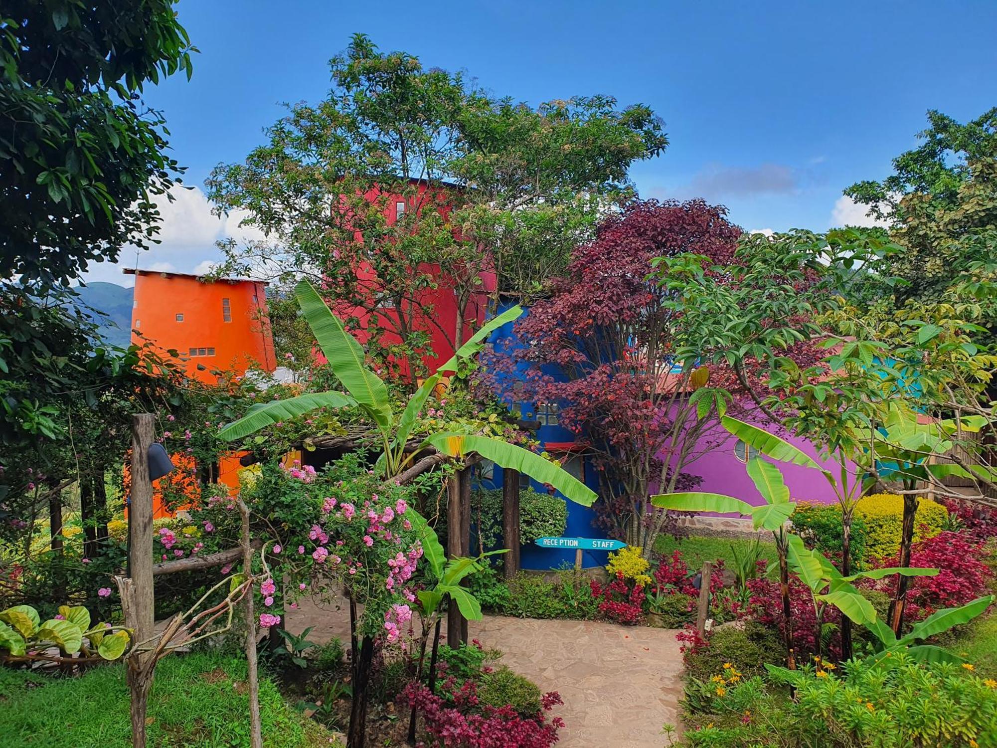 Chameleon Hill Forest Lodge Bwindi Impenetrable Park 外观 照片